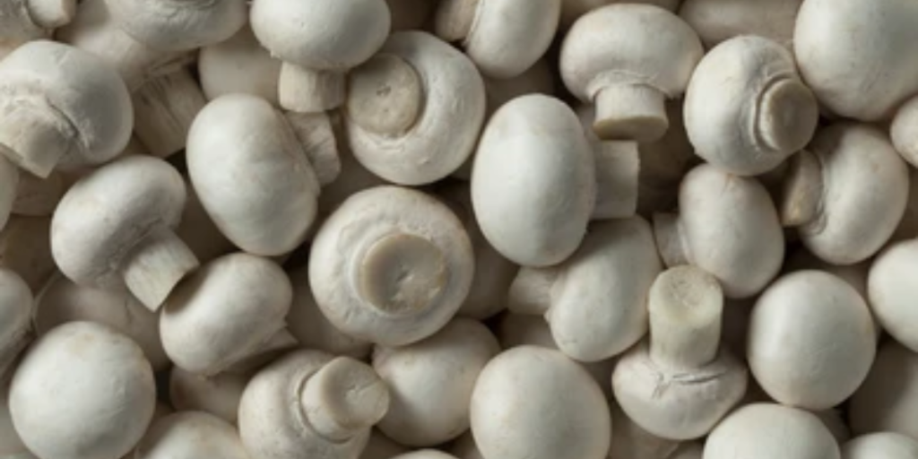 Opper Natural- Mushroom sellers