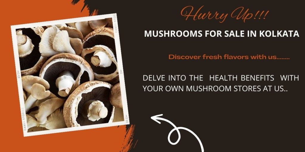 mushrooms for sale